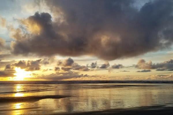 Mermaid Cottage 1-Bedroom Beach Cottage Grayland Buitenkant foto